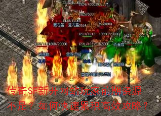 SF¿վǰԴ㣿οۻЧԣ