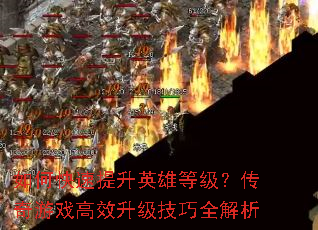 οӢ۵ȼϷЧȫ
