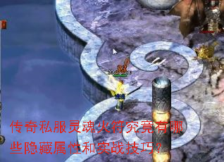 ˽ЩԺʵսɣ