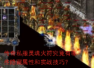 ˽ЩԺʵսɣ