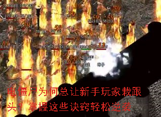 罩ʬΪԸͷЩϮ