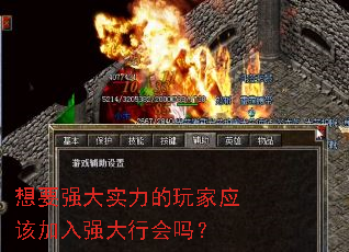 ҪǿʵӦüǿл