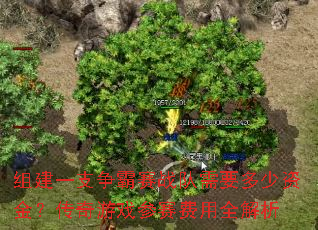 齨һ֧սҪʽ𣿴Ϸȫ