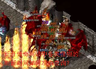 ¿վиˢʱ׼ȷѯ