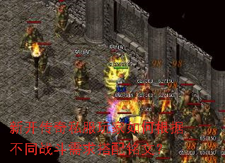 ¿˽θݲͬսģ