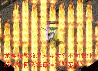 龙神技能效果差异大?不同职业玩家如何选择最佳搭配策略? 龙神技能效果差异大?不同职业玩家如何选择最佳搭配策略?