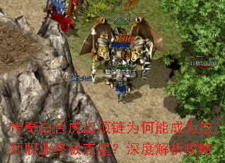 ɫΪܳΪʦְҵռǣȽ