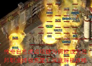 ɫΪܳΪʦְҵռǣȽ