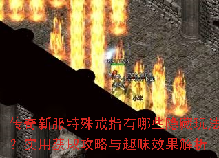 传奇新服特殊戒指有哪些隐藏玩法?实用获取攻略与趣味效果解析 传奇新服特殊戒指有哪些隐藏玩法?实用获取攻略与趣味效果解析