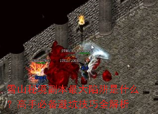 雪山秘境副本最大陷阱是什么?高手必备避坑<a href=