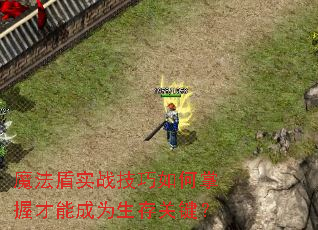 魔法盾实战<a href=