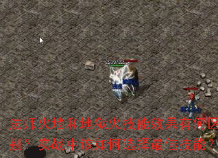 ʦǽ͵ЧкʵսиѡѼܣ