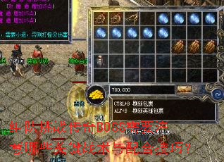 组队挑战传奇BOSS需要注意哪些关键战术与配合技巧? 组队挑战传奇BOSS需要注意哪些关键战术与配合技巧?