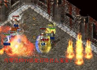 传奇法师19级能召唤什么宝宝? 传奇法师19级能召唤什么宝宝?