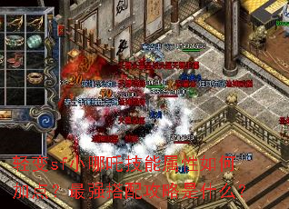 sfС߸μӵ㣿ǿ乥ʲô