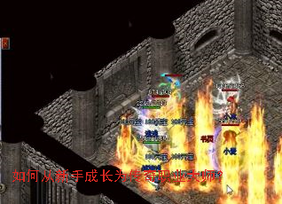 如何从新手成长为传奇职业大师? 如何从新手成长为传奇职业大师?