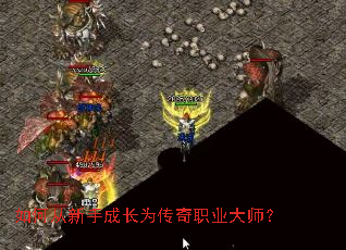 如何从新手成长为传奇职业大师? 如何从新手成长为传奇职业大师?