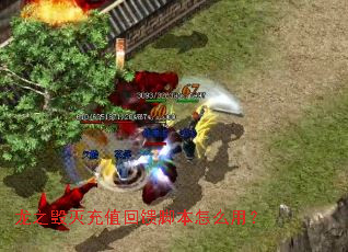 龙之毁灭充值回馈脚本怎么用? 龙之毁灭充值回馈脚本怎么用?