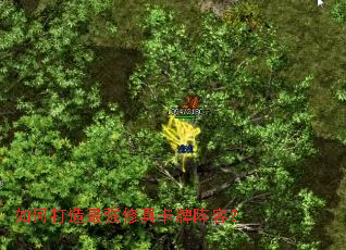 如何打造最强修真卡牌阵容? 如何打造最强修真卡牌阵容?