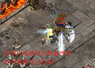 灭天火技能书在热血传奇SF中哪里可以刷到? 灭天火技能书在热血传奇SF中哪里可以刷到?