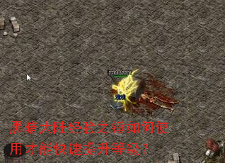 黑暗大陆经验之锤如何使用才能快速提升等级? 黑暗大陆经验之锤如何使用才能快速提升等级?