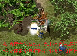 ﴫô棿޼棿ռװȫСƷ+3ʲôɣ