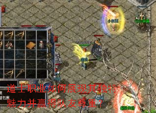 道士职业如何展现其独特魅力并赢得队友尊重? 道士职业如何展现其独特魅力并赢得队友尊重?