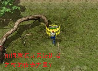 如何驾驭元素统御者之杖的传奇力量? 如何驾驭元素统御者之杖的传奇力量?