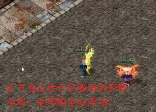 新开合击传奇私服有刺客职业吗?刺客职业好用吗? 新开合击传奇私服有刺客职业吗?刺客职业好用吗?