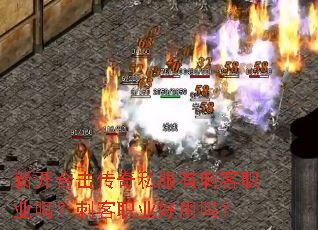 新开合击传奇私服有刺客职业吗?刺客职业好用吗? 新开合击传奇私服有刺客职业吗?刺客职业好用吗?