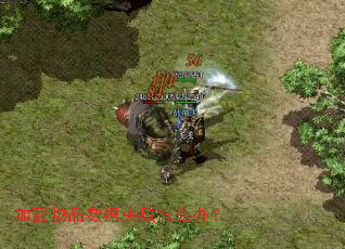 ������Ʒ����ʧ����ô�죿