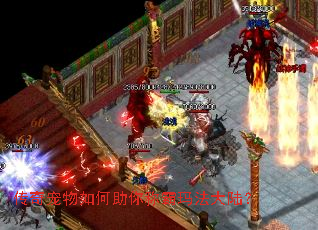 传奇宠物如何助你称霸玛法大陆? 传奇宠物如何助你称霸玛法大陆?