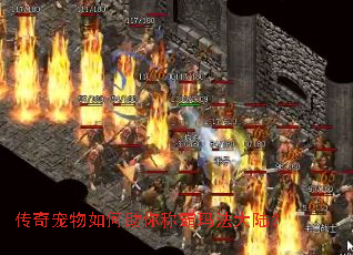 传奇宠物如何助你称霸玛法大陆? 传奇宠物如何助你称霸玛法大陆?