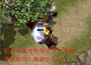 新开合击传奇网站可以养狗是真的吗?具体怎么玩? 新开合击传奇网站可以养狗是真的吗?具体怎么玩?