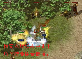 传奇农场私服中哪个角色技能组合最强? 传奇农场私服中哪个角色技能组合最强?