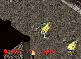 雪域传奇中的称号究竟有什么用? 雪域传奇中的称号究竟有什么用?