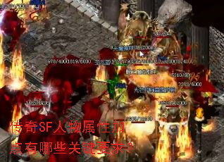 传奇SF人物属性加点有哪些关键要求? 传奇SF人物属性加点有哪些关键要求?