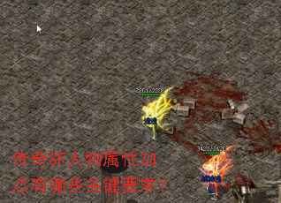 传奇SF人物属性加点有哪些关键要求? 传奇SF人物属性加点有哪些关键要求?