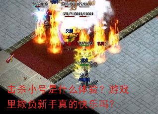 击杀小号是什么体验?游戏里欺负新手真的快乐吗? 击杀小号是什么体验?游戏里欺负新手真的快乐吗?