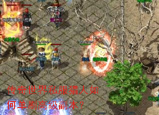 传奇世界私服猎人如何单刷高级副本? 传奇世界私服猎人如何单刷高级副本?