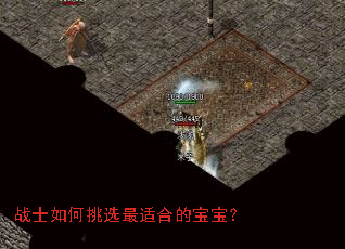 战士如何挑选最适合的宝宝? 战士如何挑选最适合的宝宝?