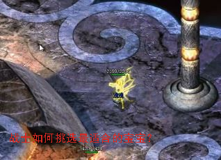 战士如何挑选最适合的宝宝? 战士如何挑选最适合的宝宝?