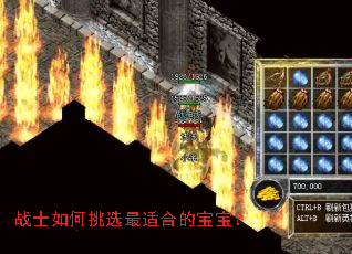 战士如何挑选最适合的宝宝? 战士如何挑选最适合的宝宝?