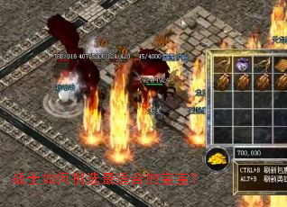 战士如何挑选最适合的宝宝? 战士如何挑选最适合的宝宝?