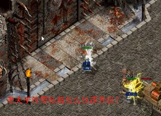 老夫子传奇私服怎么快速升级? 老夫子传奇私服怎么快速升级?