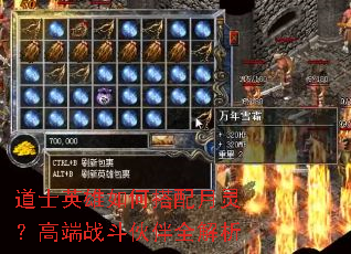 道士英雄如何搭配月灵?高端战斗伙伴全解析 道士英雄如何搭配月灵?高端战斗伙伴全解析