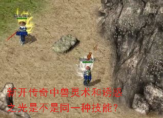 新开传奇中兽灵术和诱惑之光是不是同一种技能? 新开传奇中兽灵术和诱惑之光是不是同一种技能?