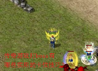 传奇游戏打boss有哪些实用的卡位技巧? 传奇游戏打boss有哪些实用的卡位技巧?