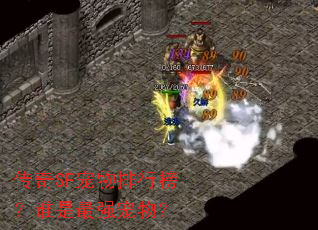 传奇SF宠物排行榜?谁是最强宠物? 传奇SF宠物排行榜?谁是最强宠物?