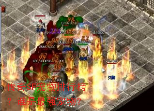 传奇SF宠物排行榜?谁是最强宠物? 传奇SF宠物排行榜?谁是最强宠物?